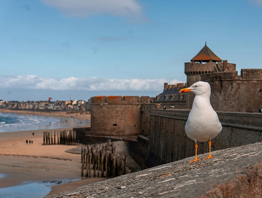 site-web-saint-malo